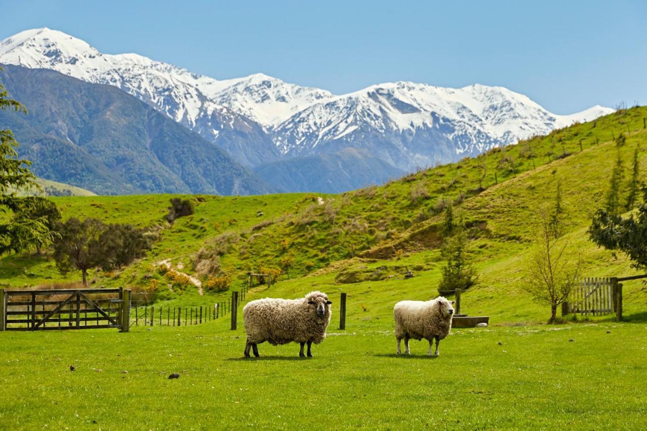 Kaikoura, Cubby House Stay Exterior foto